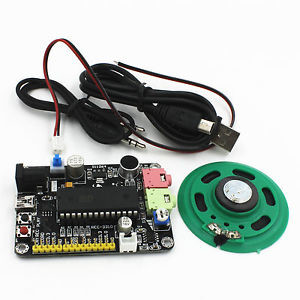 ISD4004 Plastik + Iron + PCB Suara / Rekaman Modul Kit – Hitam